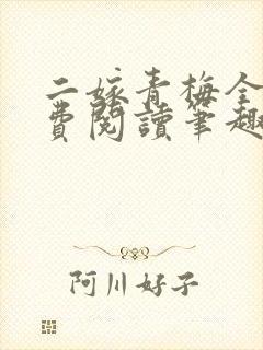 二嫁青梅全文免费阅读笔趣阁