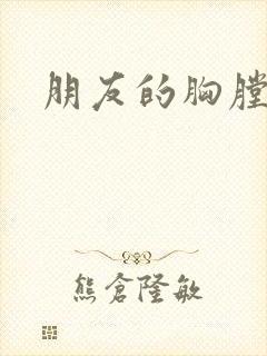 《朋友的胸膛》小说封面