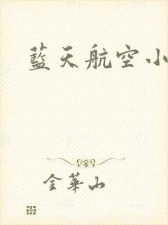 蓝天航空小说