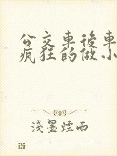 公交车后车座的疯狂的做小封面