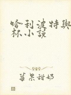 哈利波特与火焰杯小说封面