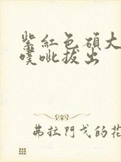 紫红色硕大噗呲噗呲拔出