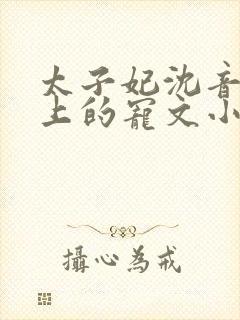 太子妃沈音和皇上的宠文小说