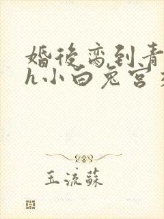 婚后脔到青梅哭h小白兔宫交h封面