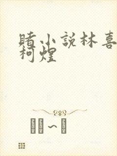 赌小说林喜朝和柯煜