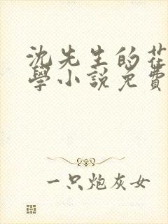 沈先生的花式教学小说免费