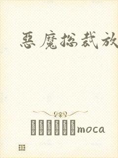 恶魔总裁放了我