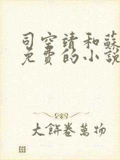 司空靖和苏月汐免费的小说笔趣阁