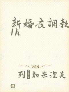 新婚夜调教1v1h