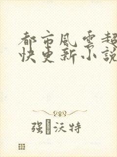 都市风云超前超快更新小说