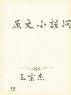原文小说网