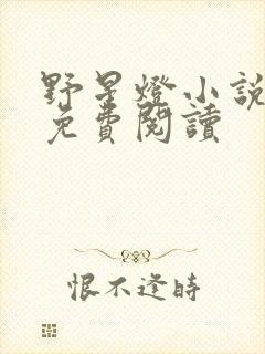 野星灯小说全文免费阅读