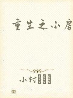 重生之小房东
