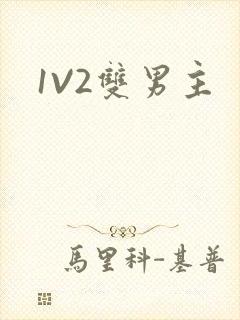 1V2双男主