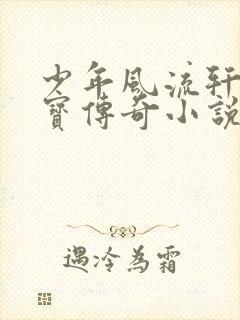 少年风流轩辕大宝传奇小说