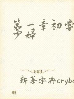 第一章初尝极品少妇