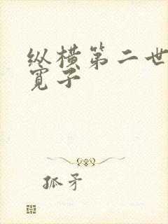 纵横第二世界 宽子
