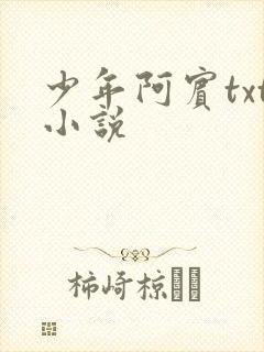 少年阿宾txt小说