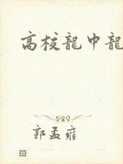 高校龙中龙