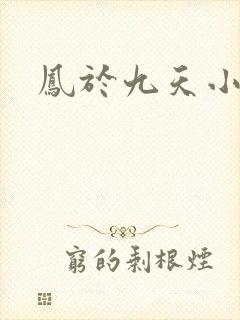 凤于九天小说