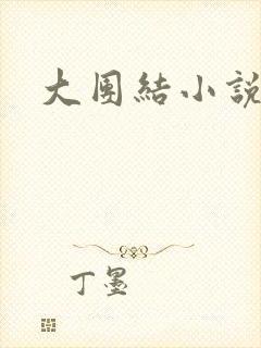 大团结小说阅读