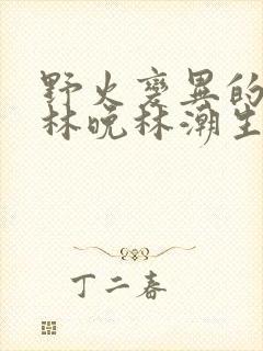 野火变异的父爱林晚林潮生封面