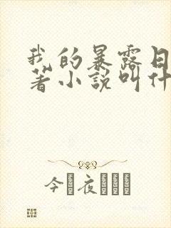 我的暴露日记原著小说叫什么