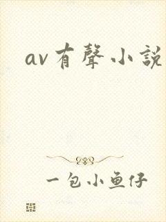 av有声小说