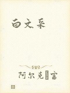 白文采