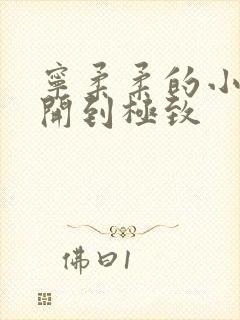 宁柔柔的小泬撑开到极致