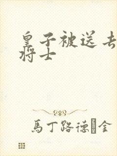 皇子被送去犒劳将士