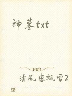 神墓txt