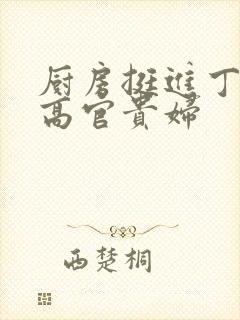 厨房挺进丁字裤高官贵妇