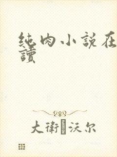 纯肉小说在线阅读