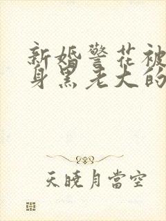 新婚警花被迫献身黑老大的小说