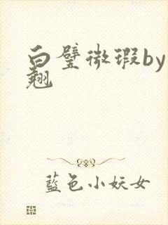 白璧微瑕by连翘