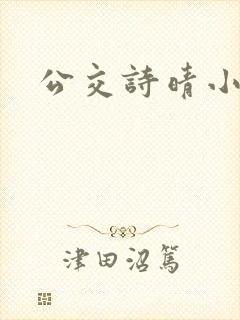 公交诗晴小说