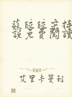 苏皎皎宋持的小说免费阅读