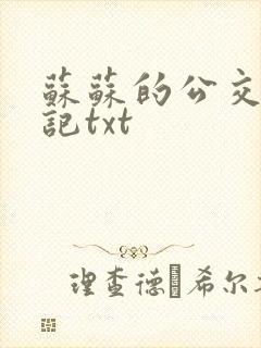 苏苏的公交车日记txt