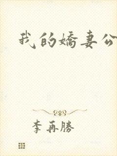 我的娇妻公务员