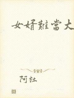 女婿难当大结局