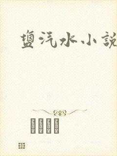 盐汽水小说