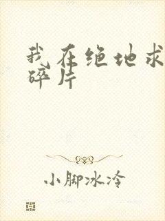 我在绝地求生捡碎片