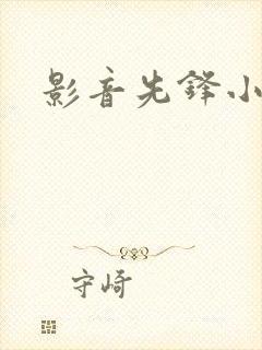 影音先锋小说封面