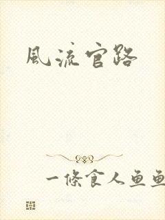 风流官路