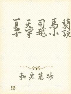 夏天司马兰九皇子穿越小说笔趣阁