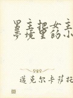 男主把女主拖进梦境里的小说