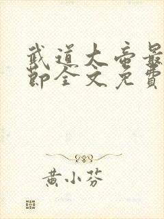 《武道大帝最新章节全文免费阅读》小说封面