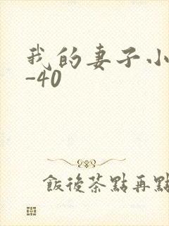 我的妻子小谨1-40