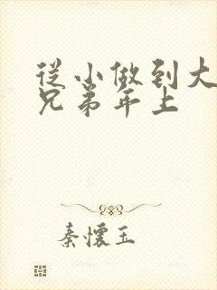 从小做到大骨科兄弟年上